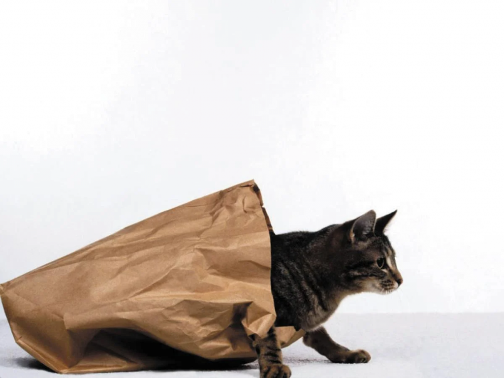 A gray cat is crawling out of a brown paper bag.